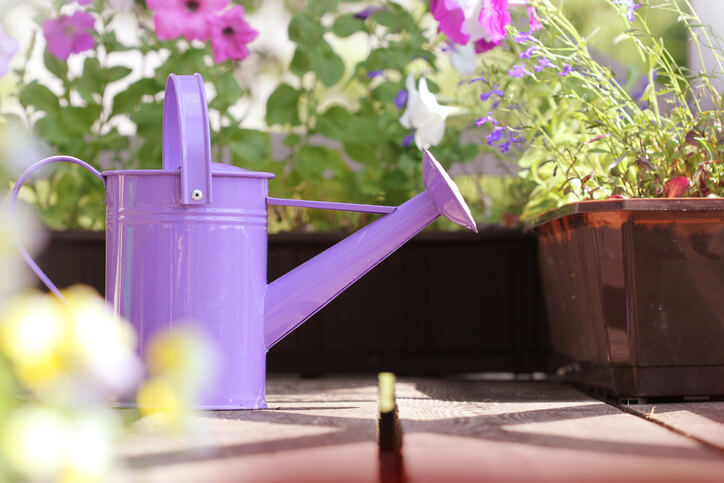 Hinweise bezüglich der Wassergaben