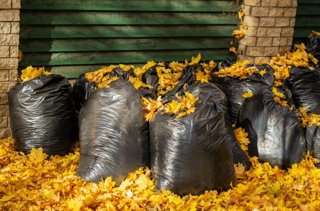 Laub als Dünger verwenden