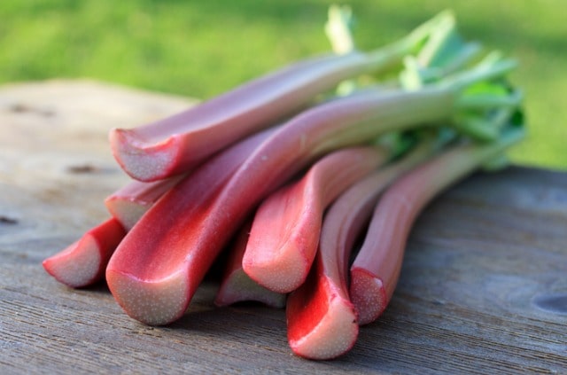 Rhabarber richtig schneiden