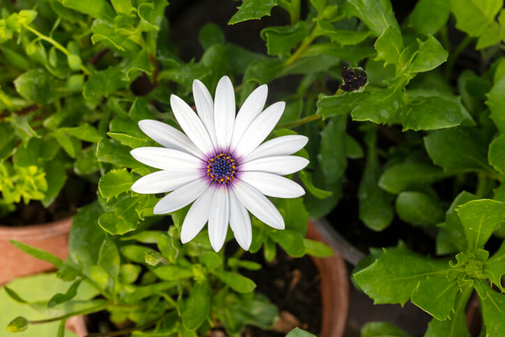 Vorbereitung der Überwinterung