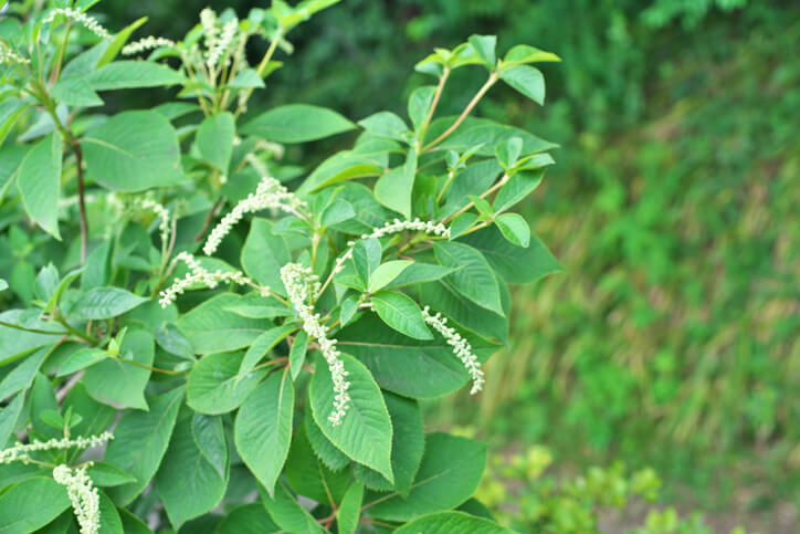 Wissenswertes in Kürze