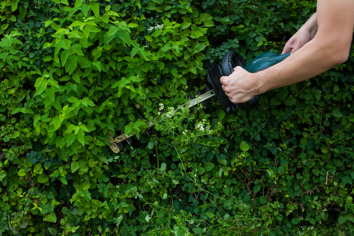 Anleitung für den Formschnitt