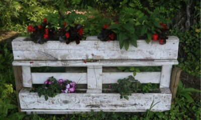 Blumenkasten aus Paletten bauen - eine einfache Anleitung