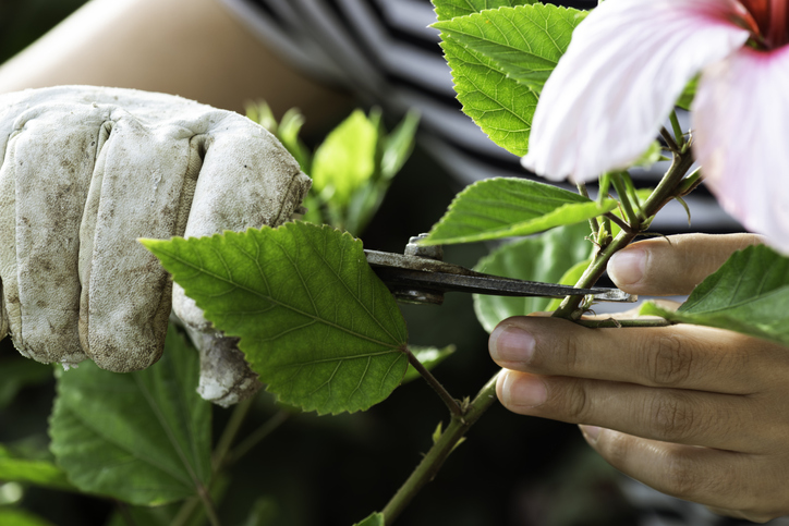 Das passende Schnittwerkzeug
