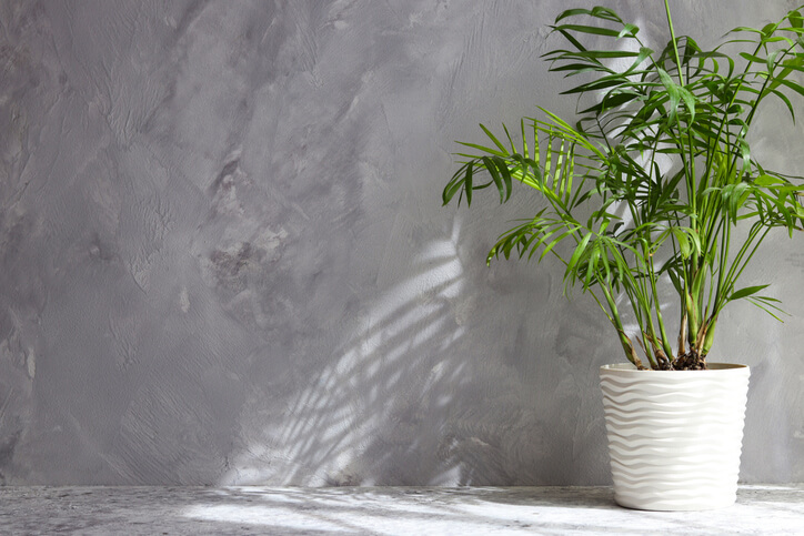 Der richtige Standort