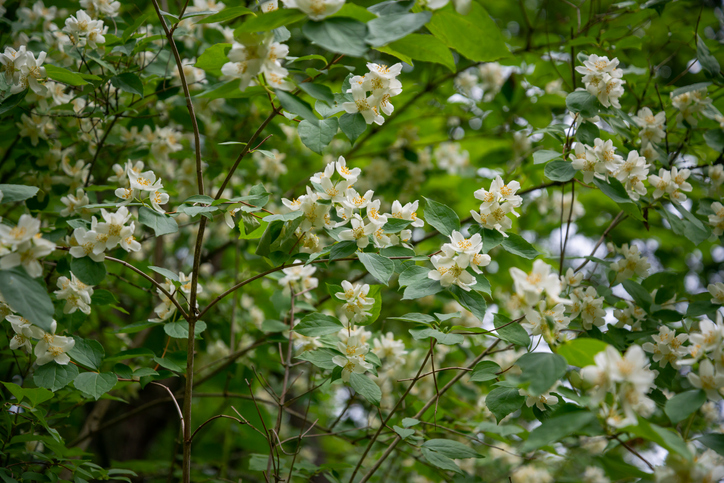 Der richtige Zeitpunkt