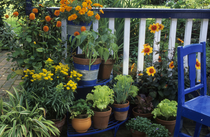 Ein Mix verschiedenster Blumen