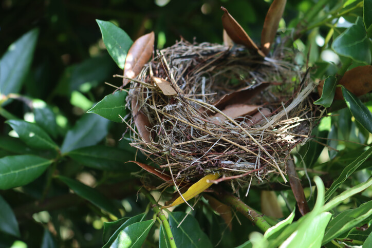 Gründe für den begrenzten Zeitraum