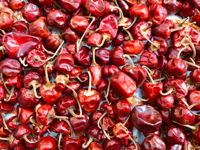 Habaneros im Backofen trocknen