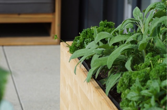 Kräuterbeet selber bauen - Anleitung und Tipps