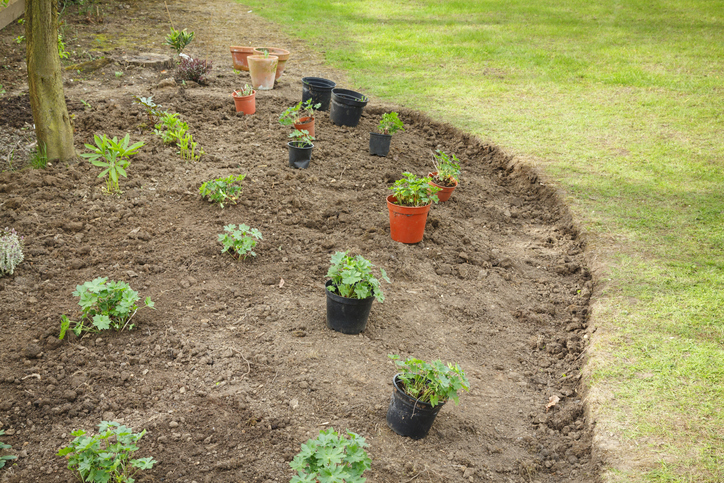 Pflegeleicht und doch nachhaltig