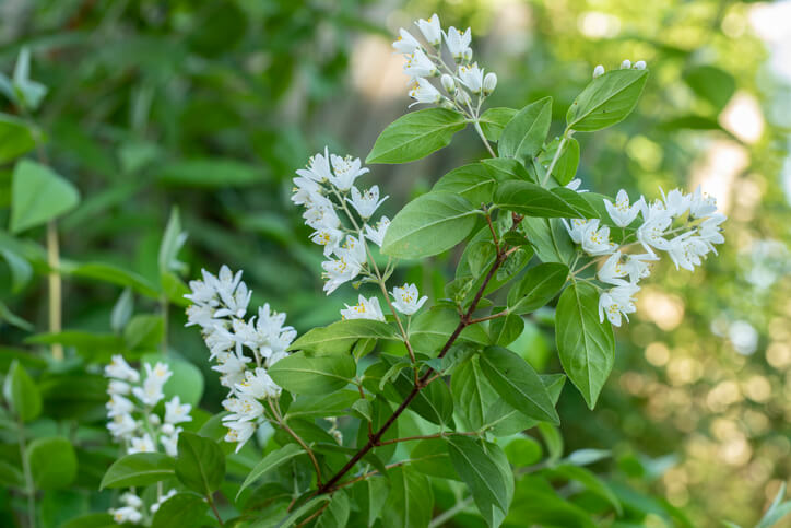Richtiges Schnittverfahren
