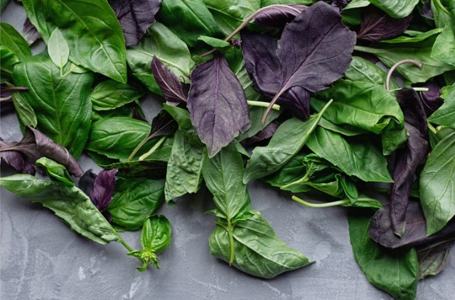 Basilikum trocknen und haltbar machen