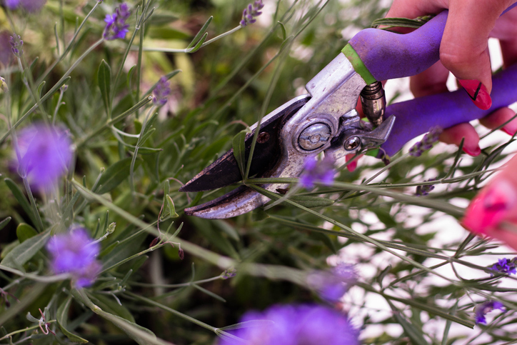 Das richtige Schneidewerkzeug