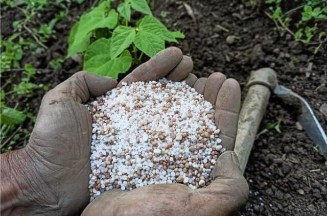 Den Garten richtig kalken - Tipps und Tricks