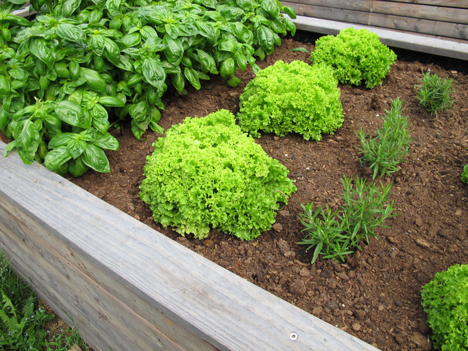 Der passende Nährstoffbedarf