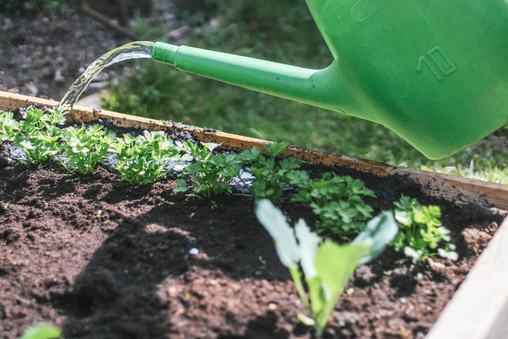 Die Auswahl des Wassers