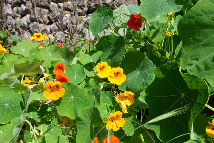 Die Auswahl des richtigen Standortes