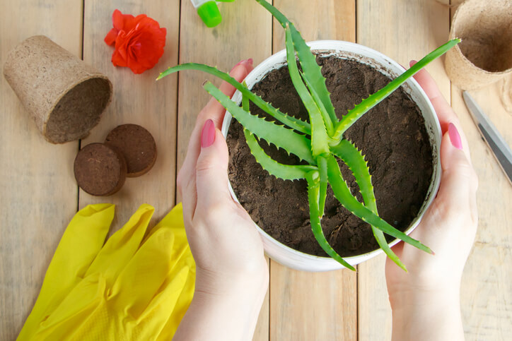 Die richtige Topfgröße