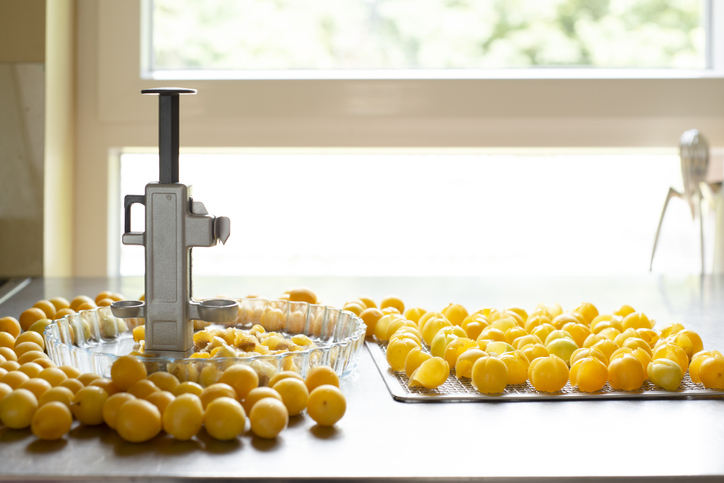 Einsteinen von Mirabellen mit einem Entkerner