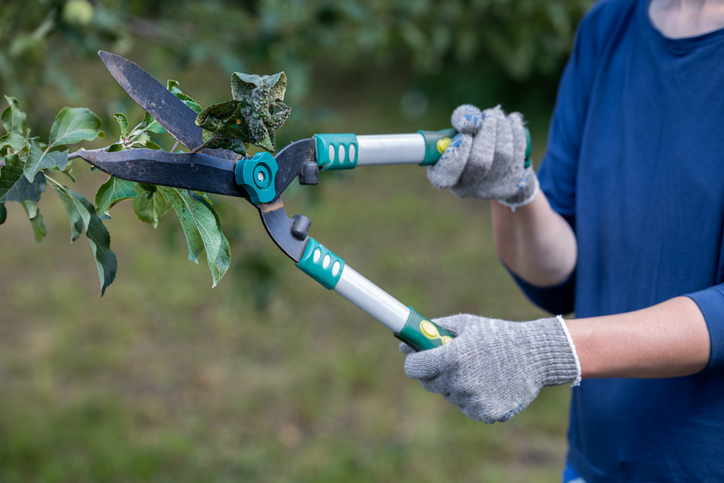 Mechanische Bekämpfung