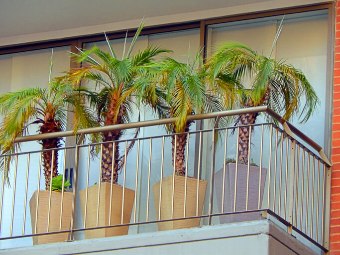 Nährstoff- oder Platzmangel