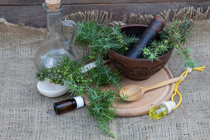 Positive Wirkungen des Wacholders