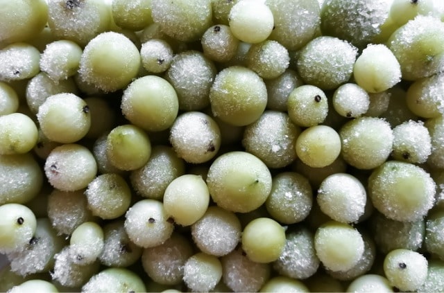 Stachelbeeren einfrieren und haltbar machen