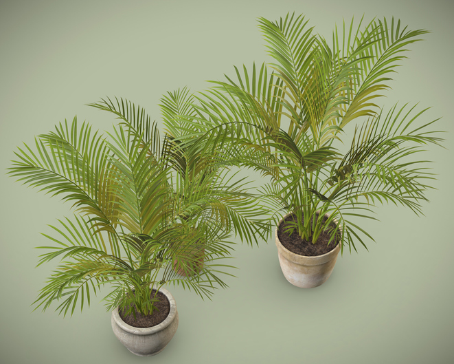 Substrat und Nährstoffversorgung