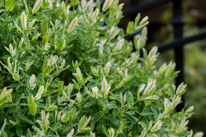 Überprüfung des Standortes