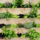 Vertikaler Garten - so können Sie ihn selber bauen