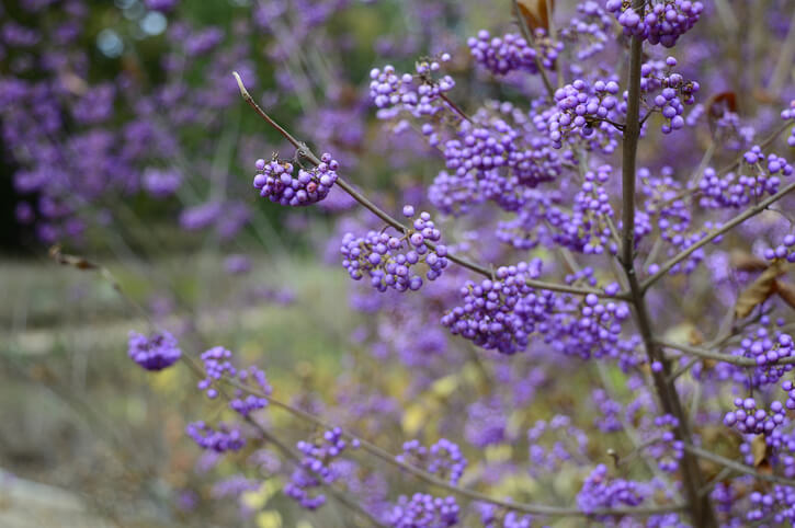 Vorsicht bei Kindern