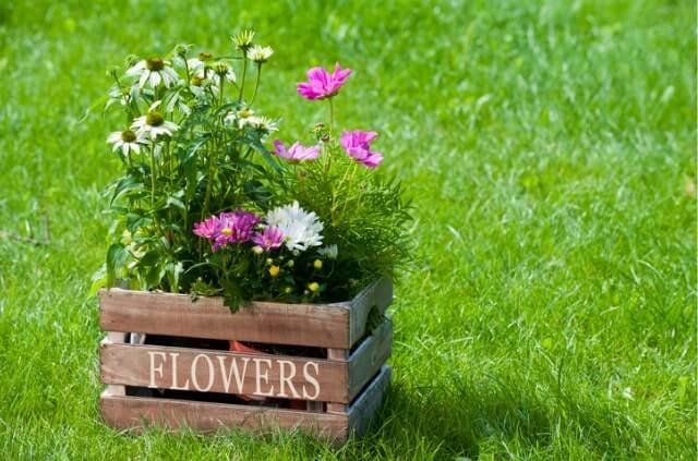 Weinkiste bepflanzen - Ideen und Inspirationen