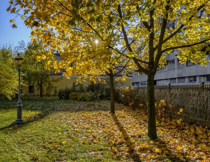 Allgemeine Ansprüche