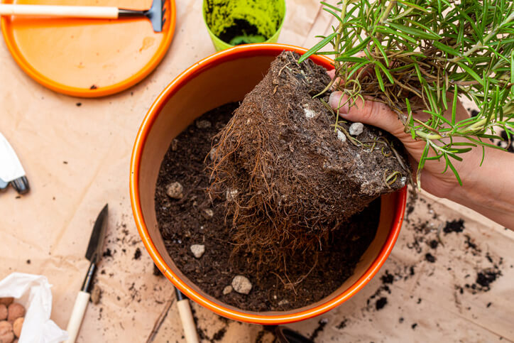 Anfertigen einer Substratmischung