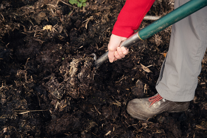 Anlegen der Gemüsebeete