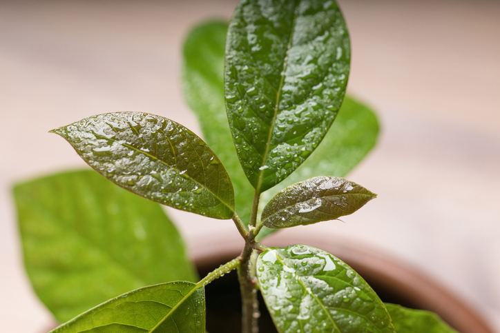 Auswahl des idealen Standortes