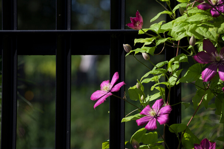 Auswahl des richtigen Standortes