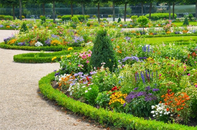 Beeteinfassung - so legen Sie sie mit einer Hecke an!