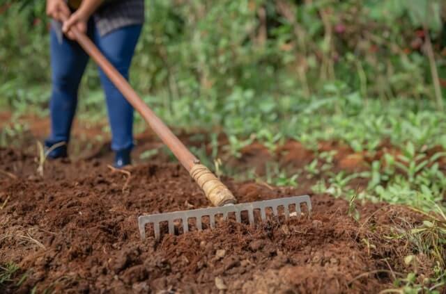 Beeterde richtig vorbereiten
