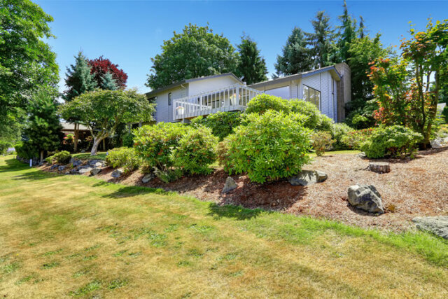 Böschung bepflanzen - Interessante Ideen und Inspirationen