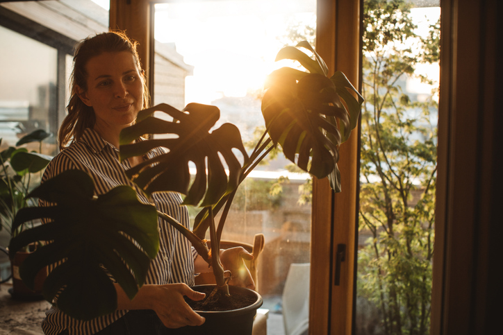 Braune Flecken durch Kälte