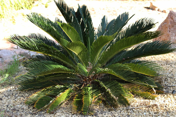 Das ideale Winterquartier