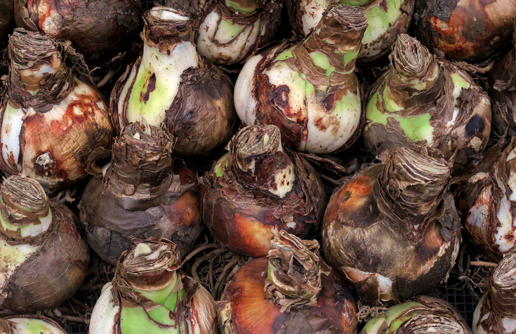 Der Temperaturbedarf in der Ruhephase