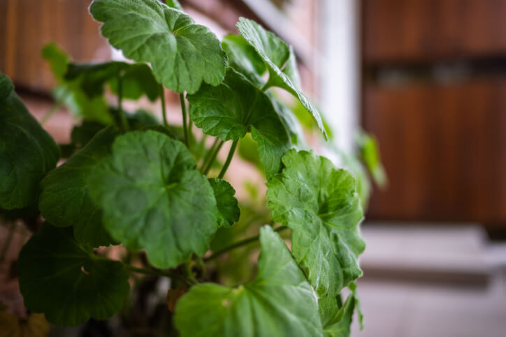 Der Umzug ins Winterquartier