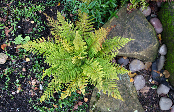 Der passende Standort