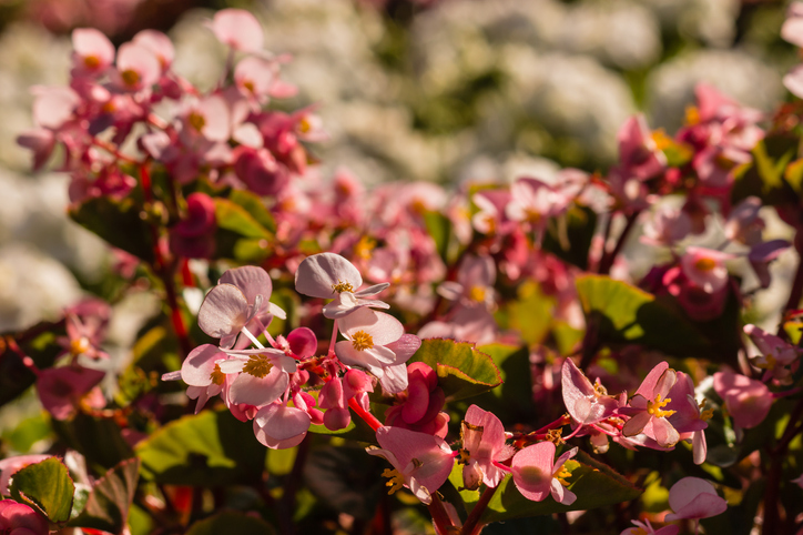 Der richtige Standort