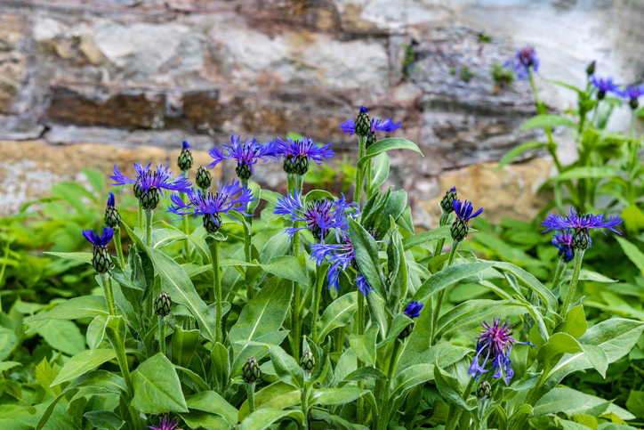 Der richtige Standort