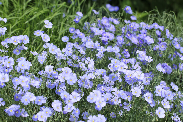 Der richtige Standort