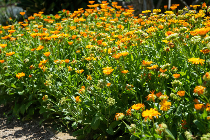 Der richtige Standort